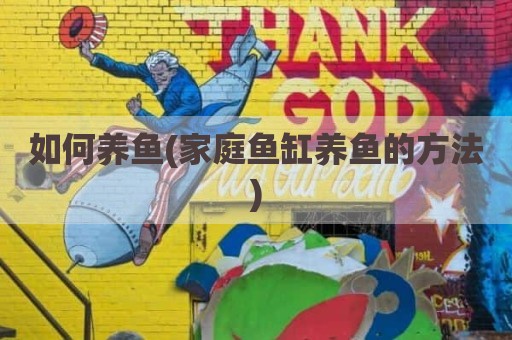如何养鱼(家庭鱼缸养鱼的方法)
