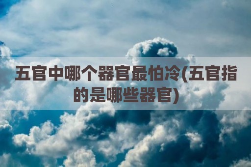 五官中哪个器官最怕冷(五官指的是哪些器官)