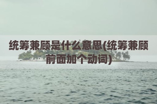 统筹兼顾是什么意思(统筹兼顾前面加个动词)