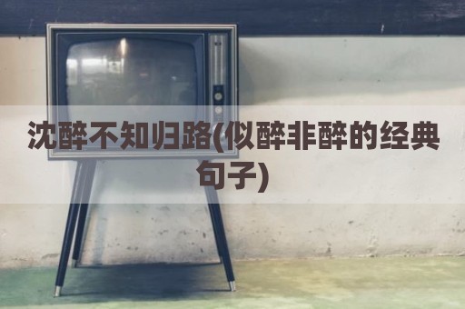 沈醉不知归路(似醉非醉的经典句子)