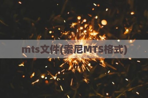 mts文件(索尼MTS格式)