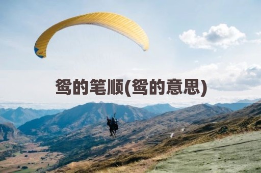 鸳的笔顺(鸳的意思)