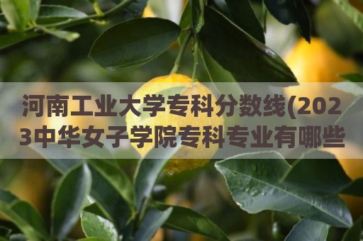 河南工业大学专科分数线(2023中华女子学院专科专业有哪些)