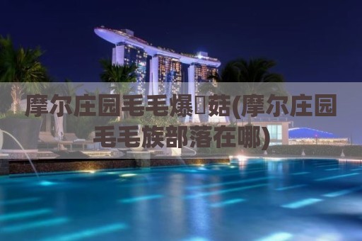 摩尔庄园毛毛爆囧菇(摩尔庄园毛毛族部落在哪)