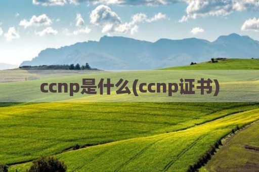 ccnp是什么(ccnp证书)