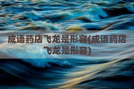 成语药店飞龙是形容(成语药店飞龙是形容)