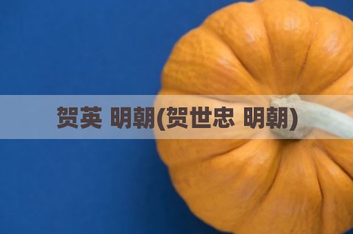 贺英 明朝(贺世忠 明朝)