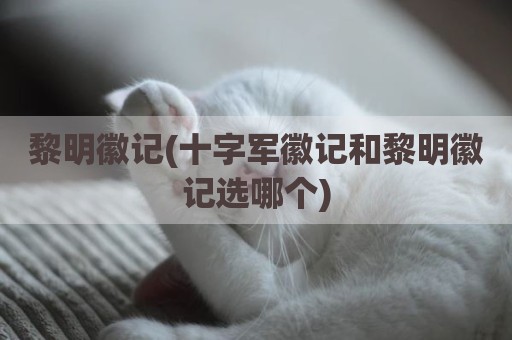 黎明徽记(十字军徽记和黎明徽记选哪个)