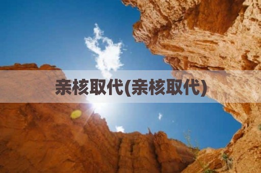 亲核取代(亲核取代)