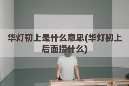 华灯初上是什么意思(华灯初上后面接什么)