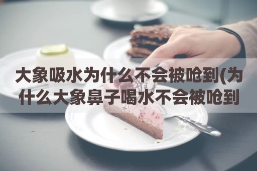 大象吸水为什么不会被呛到(为什么大象鼻子喝水不会被呛到)