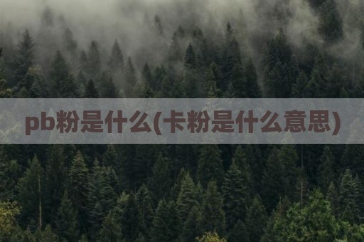 pb粉是什么(卡粉是什么意思)