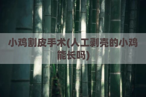 小鸡割皮手术(人工剥壳的小鸡能长吗)