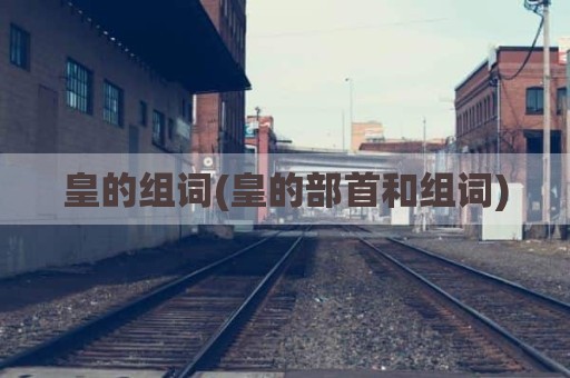 皇的组词(皇的部首和组词)