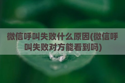 微信呼叫失败什么原因(微信呼叫失败对方能看到吗)