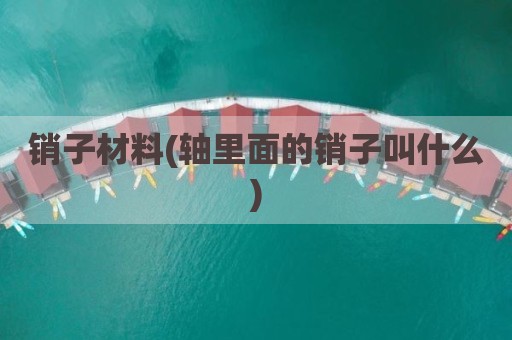 销子材料(轴里面的销子叫什么)
