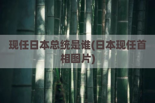 现任日本总统是谁(日本现任首相图片)