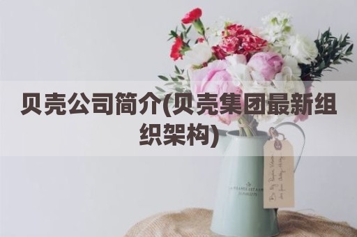 贝壳公司简介(贝壳集团最新组织架构)