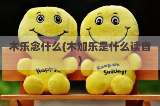 木乐念什么(木加乐是什么读音)