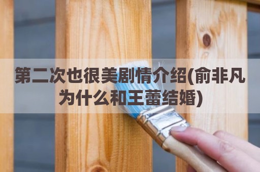 第二次也很美剧情介绍(俞非凡为什么和王蕾结婚)
