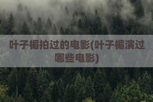叶子楣拍过的电影(叶子楣演过哪些电影)