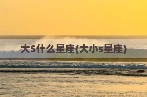 大S什么星座(大小s星座)