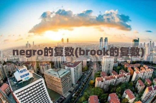 negro的复数(brook的复数)