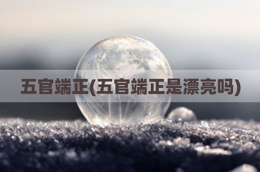 五官端正(五官端正是漂亮吗)