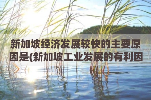 新加坡经济发展较快的主要原因是(新加坡工业发展的有利因素)
