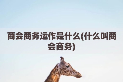 商会商务运作是什么(什么叫商会商务)