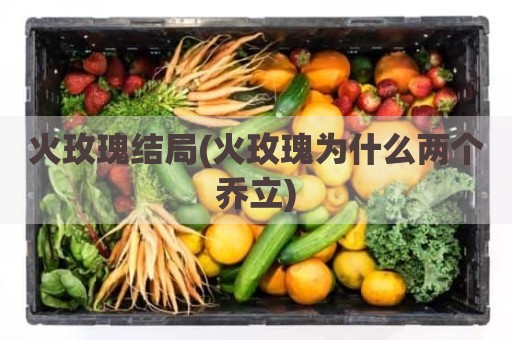 火玫瑰结局(火玫瑰为什么两个乔立)
