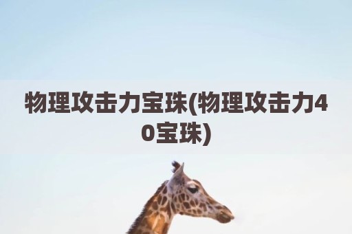 物理攻击力宝珠(物理攻击力40宝珠)