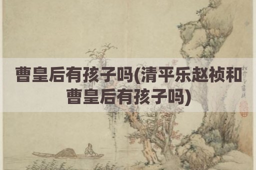曹皇后有孩子吗(清平乐赵祯和曹皇后有孩子吗)