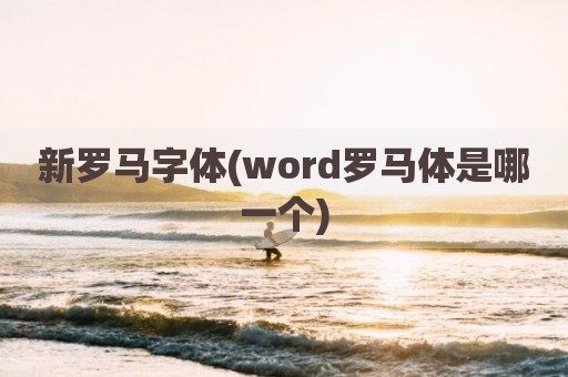 新罗马字体(word罗马体是哪一个)