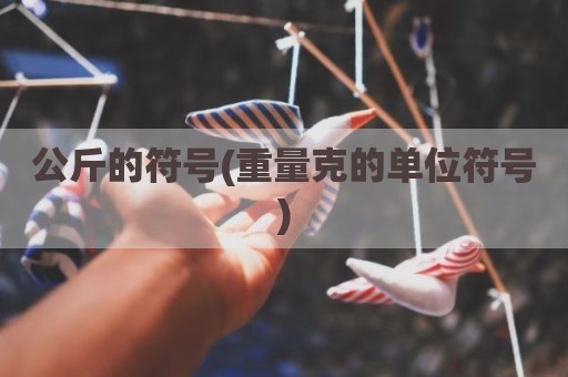 公斤的符号(重量克的单位符号)