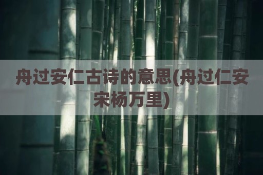 舟过安仁古诗的意思(舟过仁安宋杨万里)