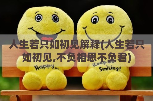 人生若只如初见解释(人生若只如初见,不负相思不负君)