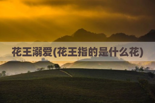 花王溺爱(花王指的是什么花)