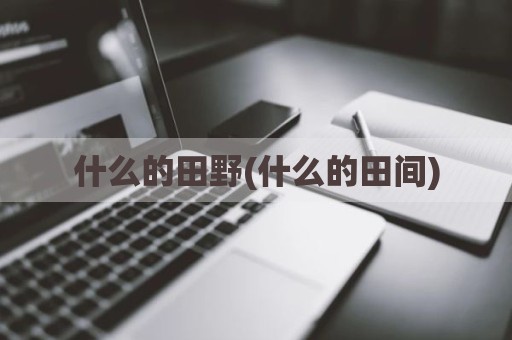 什么的田野(什么的田间)