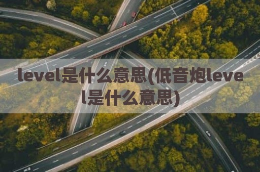 level是什么意思(低音炮level是什么意思)