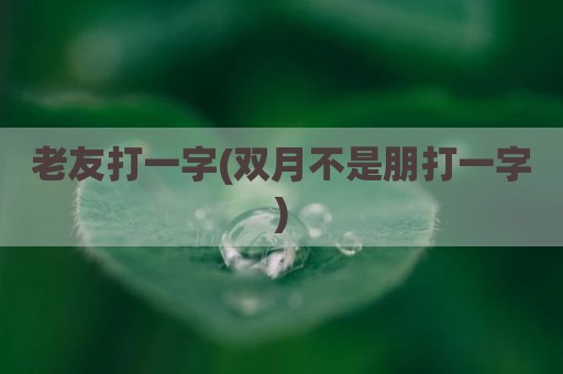 老友打一字(双月不是朋打一字)
