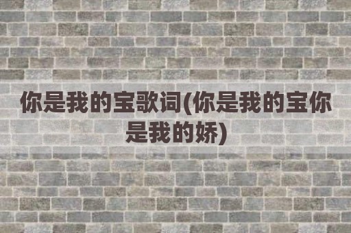 你是我的宝歌词(你是我的宝你是我的娇)