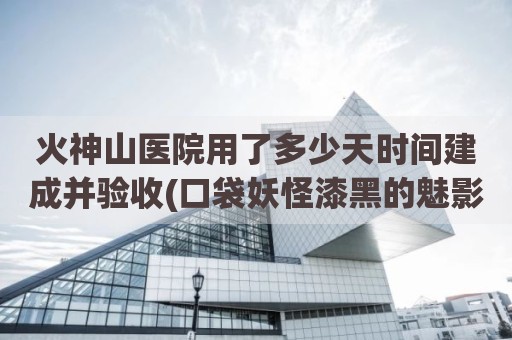 火神山医院用了多少天时间建成并验收(口袋妖怪漆黑的魅影火神山在哪里)