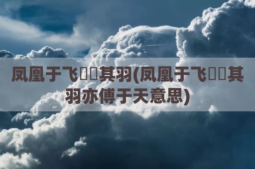 凤凰于飞翙翙其羽(凤凰于飞翙翙其羽亦傅于天意思)