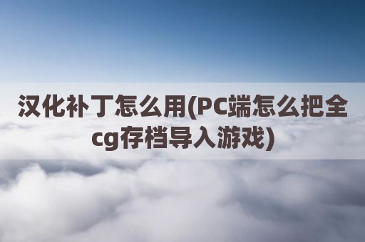 汉化补丁怎么用(PC端怎么把全cg存档导入游戏)