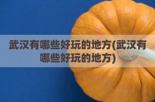 武汉有哪些好玩的地方(武汉有哪些好玩的地方)