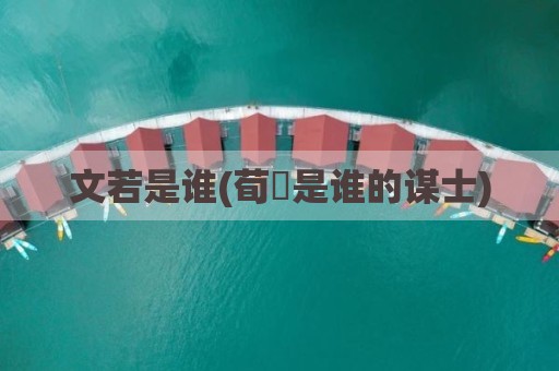 文若是谁(荀彧是谁的谋士)