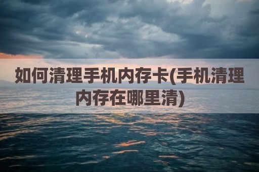 如何清理手机内存卡(手机清理内存在哪里清)