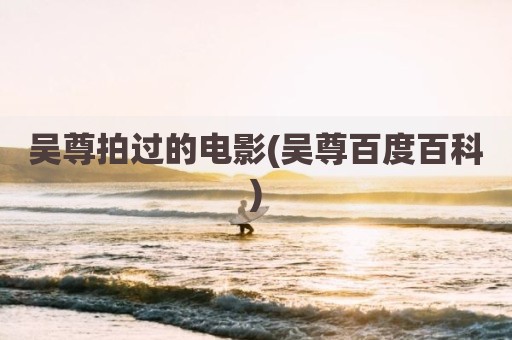 吴尊拍过的电影(吴尊百度百科)
