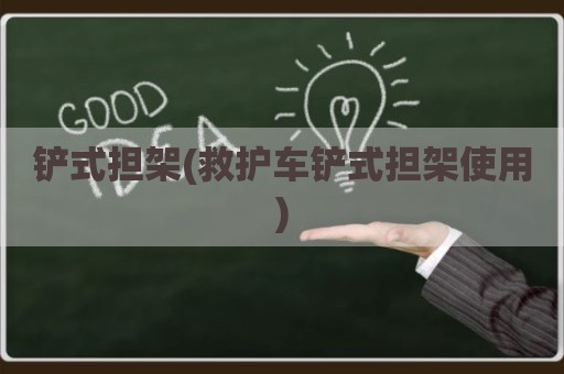 铲式担架(救护车铲式担架使用)